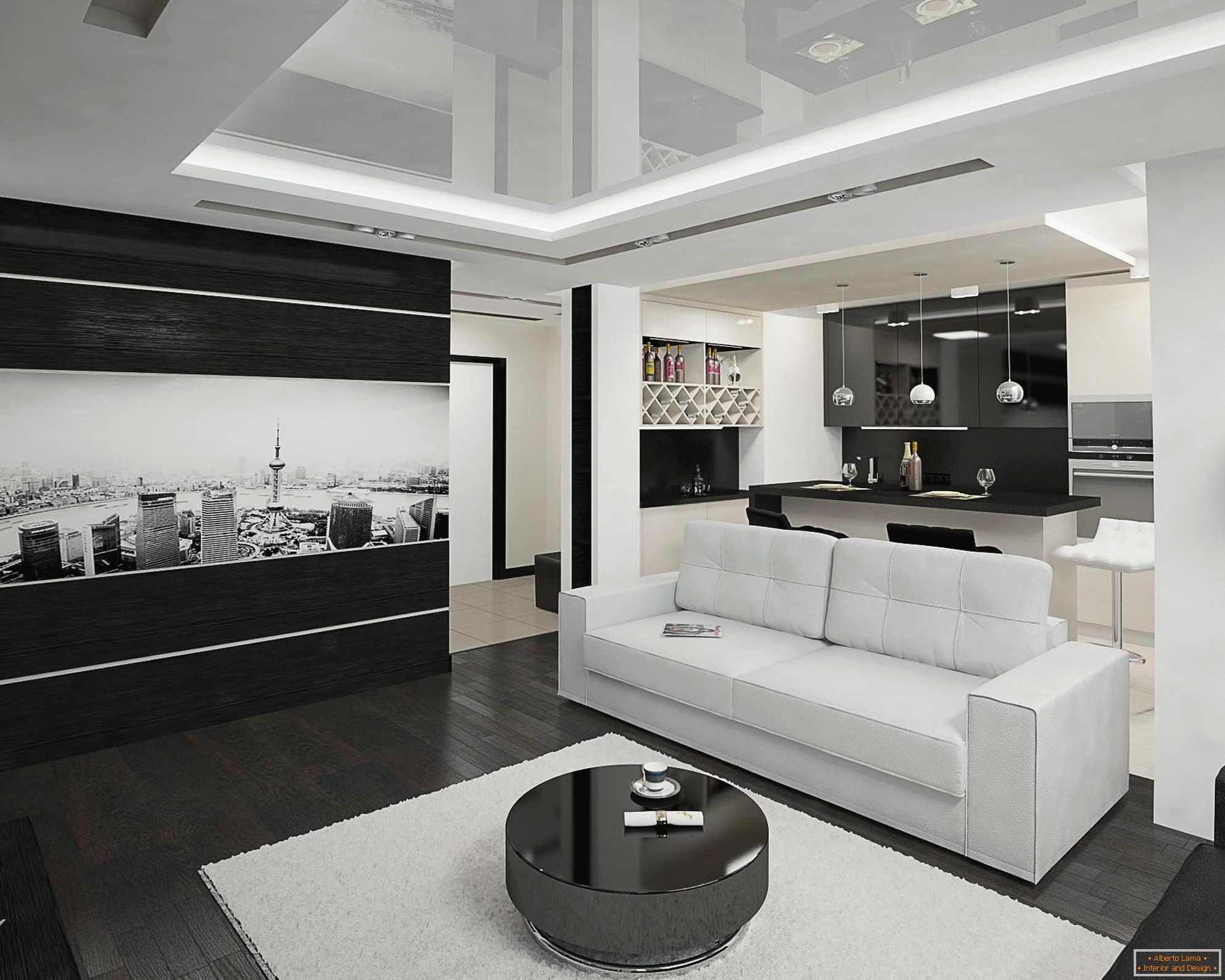 Černá a bílá kuchyně a obývací pokoj interiéru na 20 metrů čtverečních