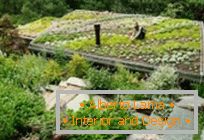 30 удивительных идей для оформления zahrada na střeše