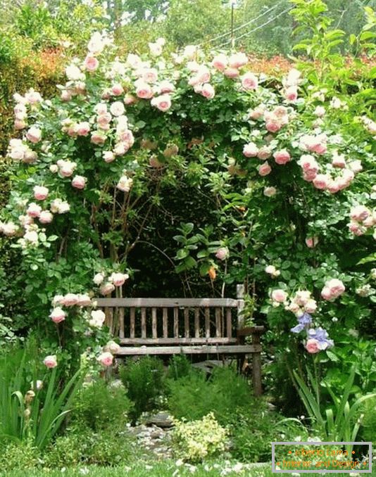 Samostatné místo k odpočinku v zahradě