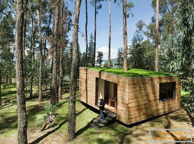 Malý dům v lese s mechovou střechou