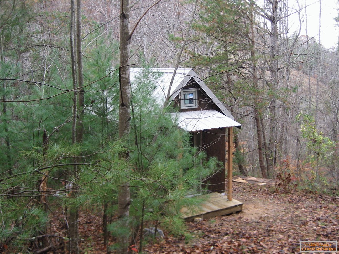 Malý dům v lese