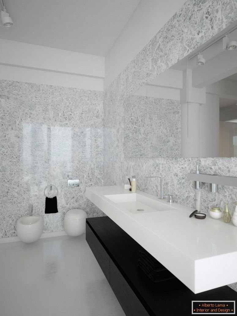 black-white-contemporary-koupelroom-design