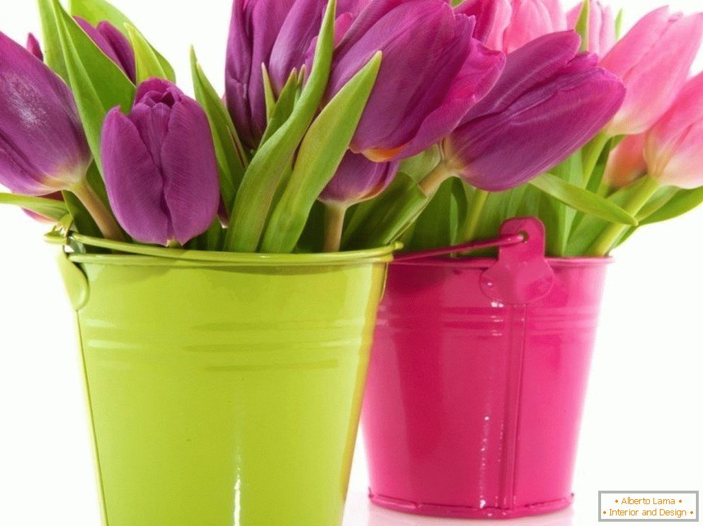 Tulipány v barevném kbelíku