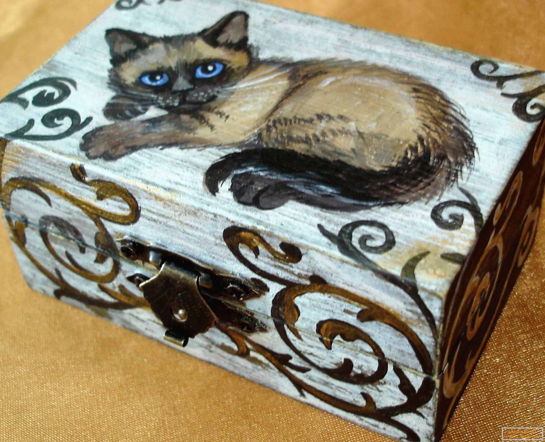 Kočka na krabici