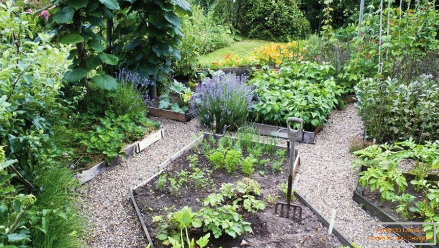 Zeleninová zahrada na pozemku o rozloze 12 hektarů