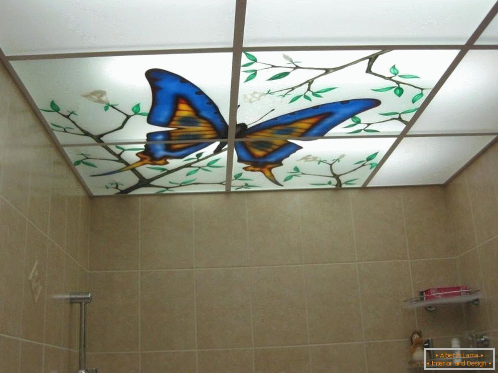 Motýl na stropě