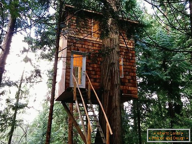 Dům na stromě s žebříkem. Foto 1