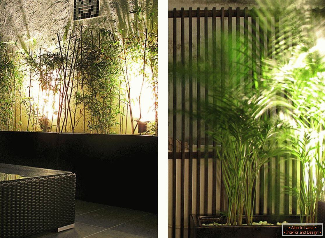 Rostliny v interiéru úzkého bytu v Hongkongu