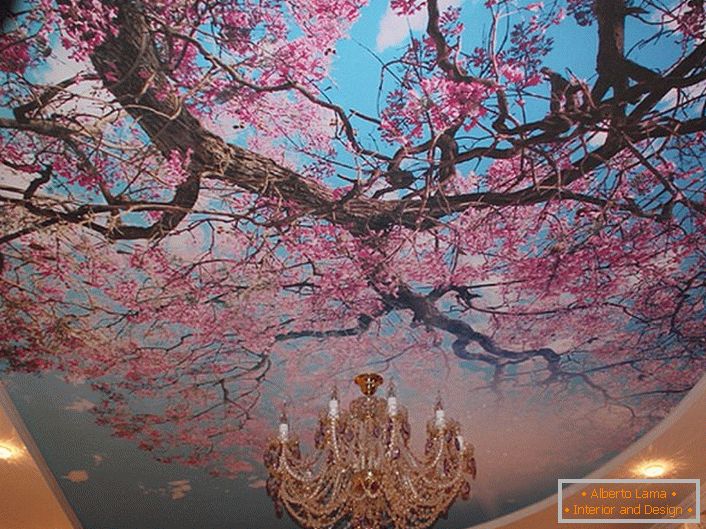 Kvetoucí třešňové květiny často používají moderní návrháři k ozdobení stropů. Skutečné řešení pro registraci pokoje nebo haly.