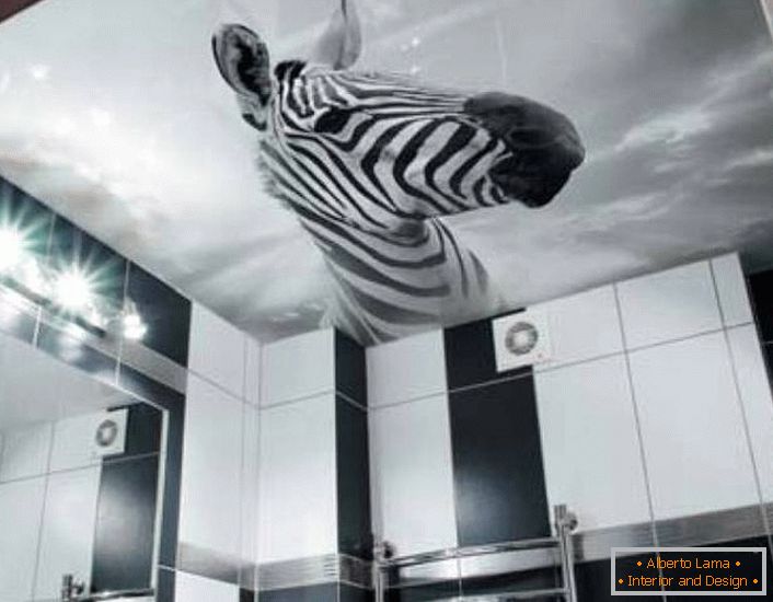 Neobvyklým řešením pro zdobení černobílé koupelny je obraz zebry na stropních stropích s fotografickým potiskem.