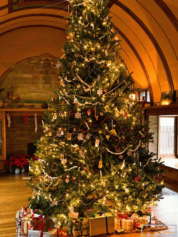 Krásný vánoční stromek
