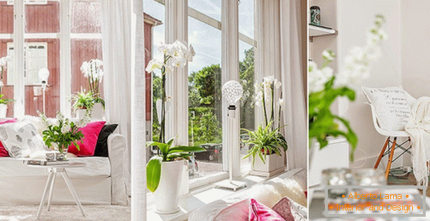 Bílé orchideje v interiéru