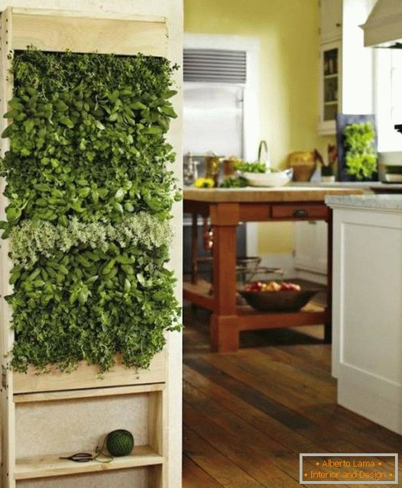 Zelené rostliny v kuchyni