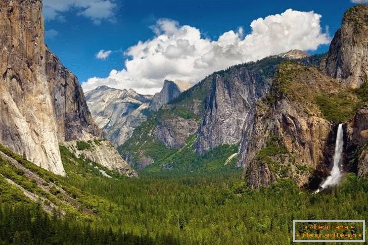 Líbánky v Yosemite (USA)