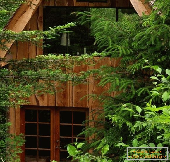 Malý lesní dům (fotografie), США