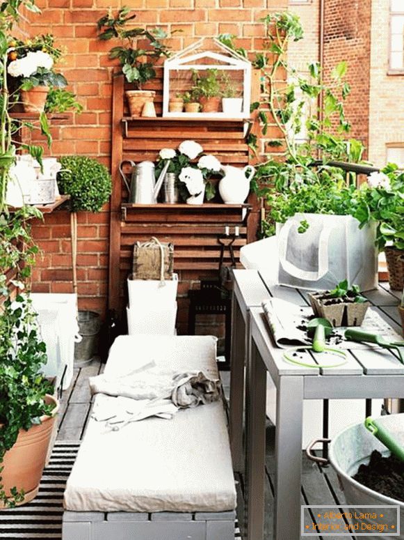 Balkon s vnitřními rostlinami