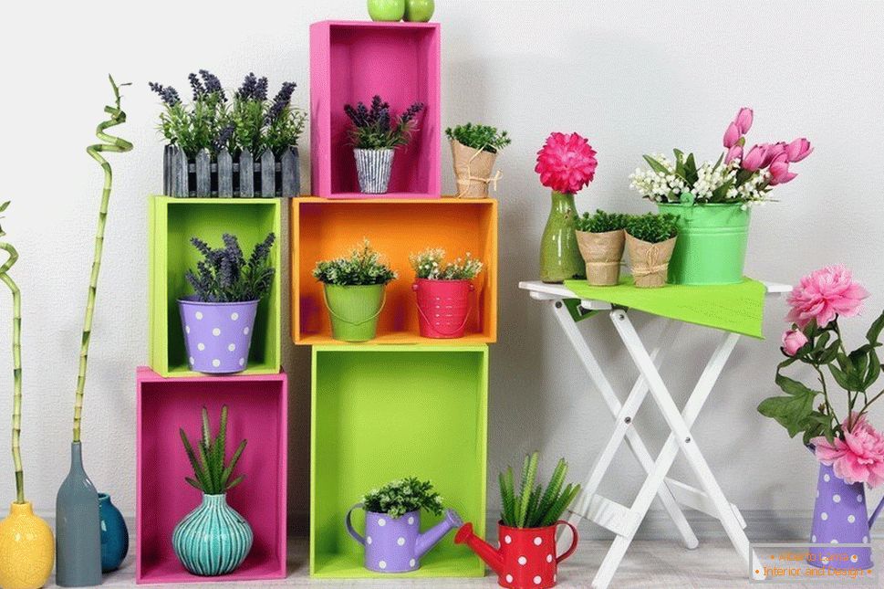 Vázy pro děti s pikantními rostlinami
