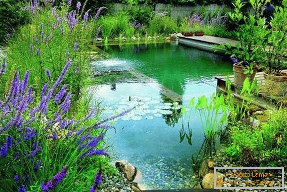 Krásná fotka bazénů - rybníka na koupání ve dvoře