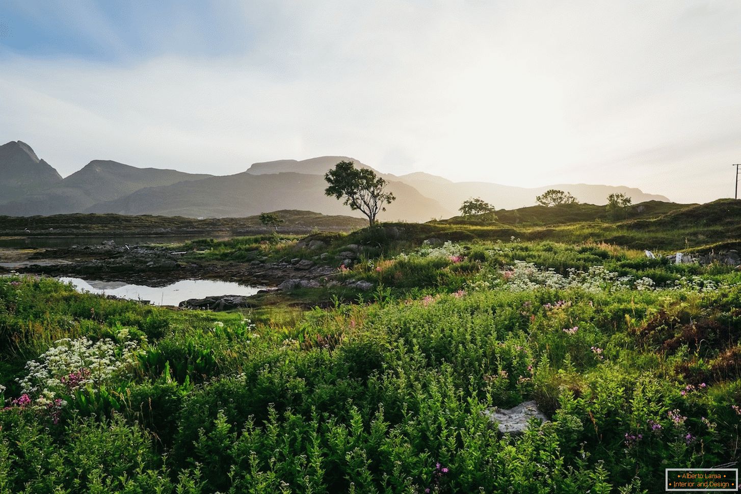 Šťavnatá krajina norských polí