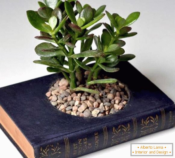 Hrnce rostlin z knihy
