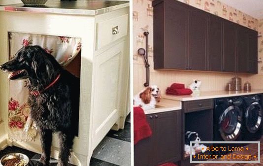 Místo pro psa v kuchyňské skříni