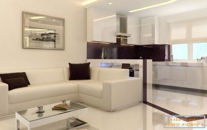 Studio apartmán ve stylu minimalismu je prostorný a světlý. Nadbytečné dekorativní prvky interiéru nezatížují interiér.