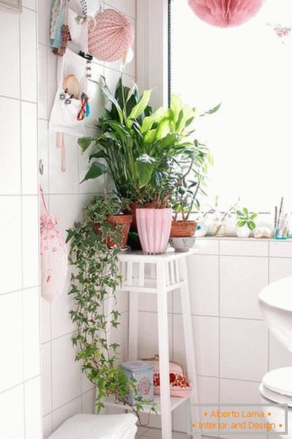 Rostliny v rohu koupelny