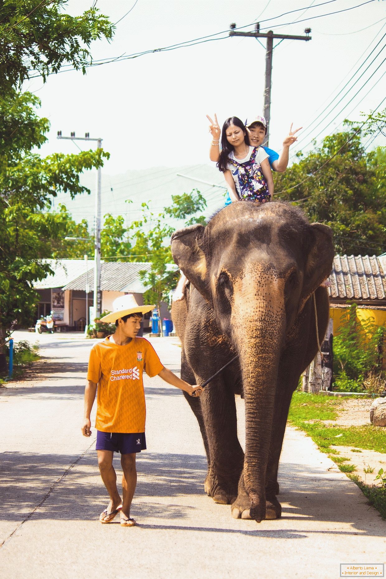 Cestování na slon