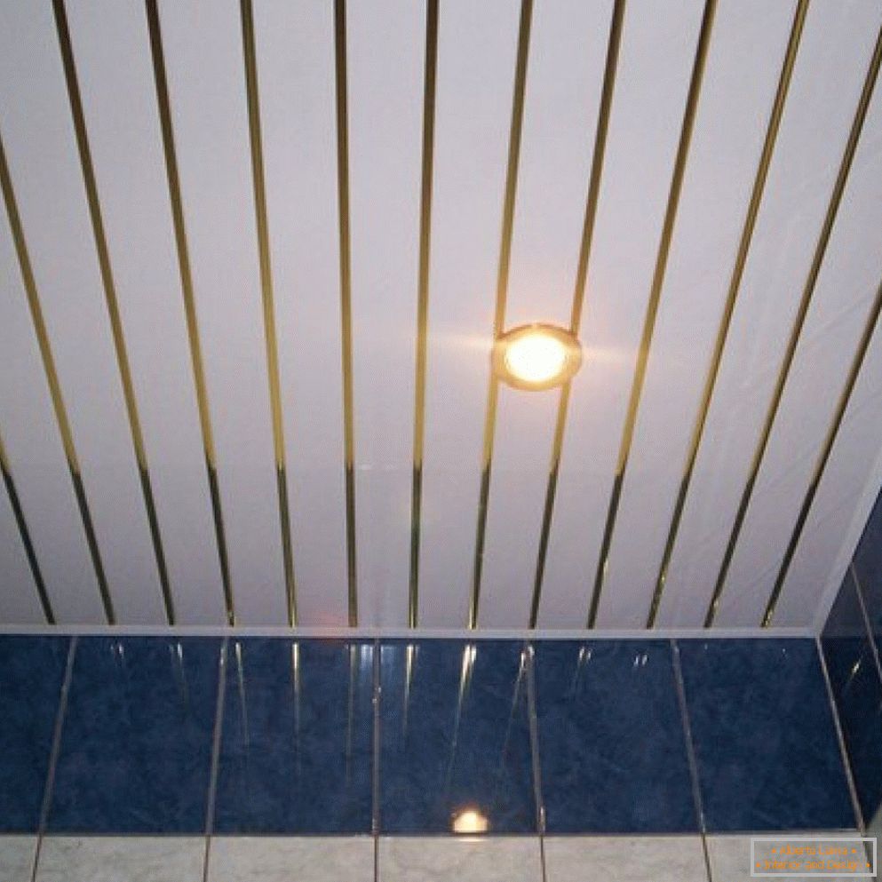 Koupelna s PVC stropem