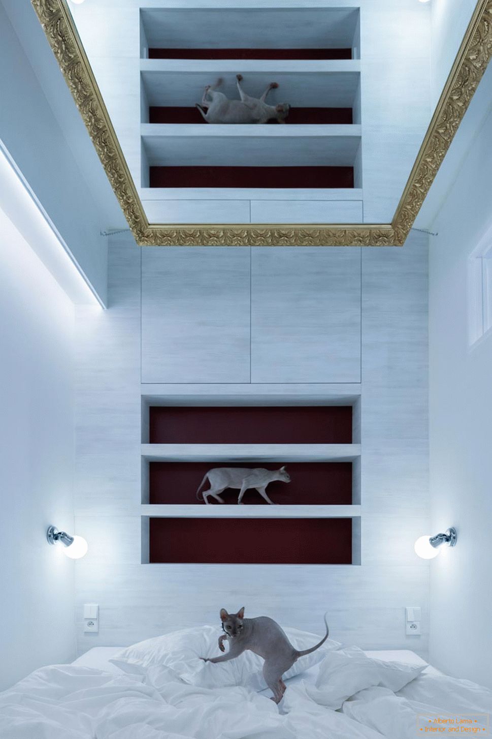 Moderní design malého bytu - kočky v interiéru