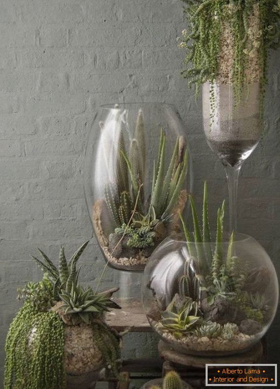 Rostliny ve velkých skleněných vázách