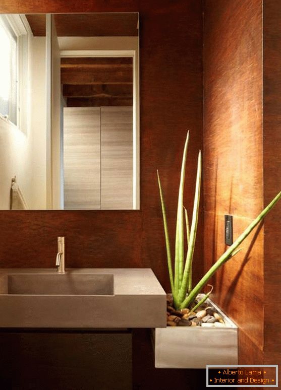 Aloe vera v moderní koupelně