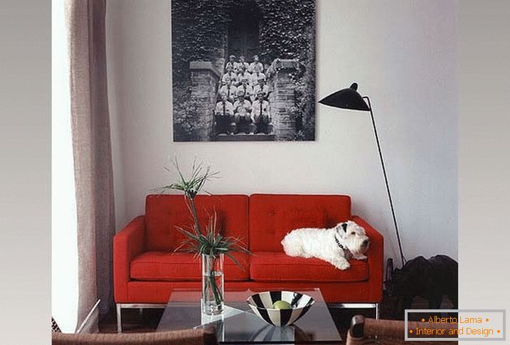 Přísně červená pohovka a proutěné židle v obývacím pokoji