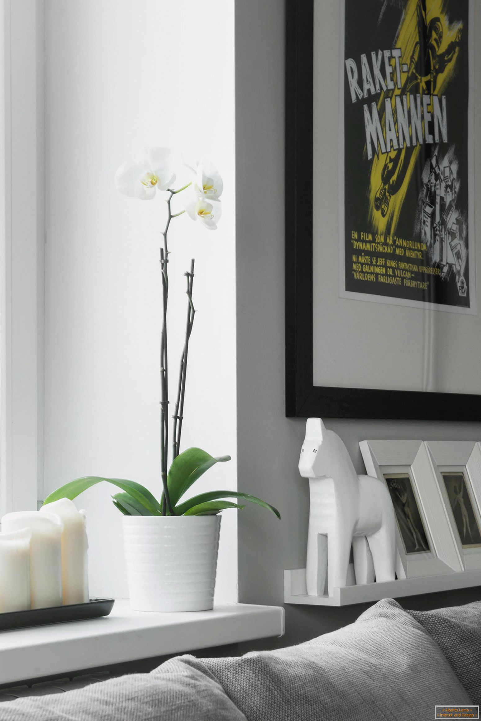 Orchidej v obývacím pokoji studiového apartmánu