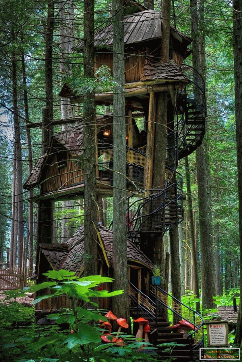 Three Story Treehouse (Britská Kolumbie, Kanada)