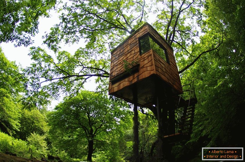 Treehouse od Takashi Kobayashi (Japonsko)