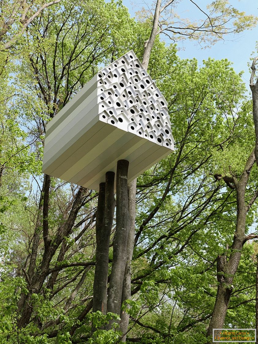 Treehouse pro ptáky a lidi (Япония)