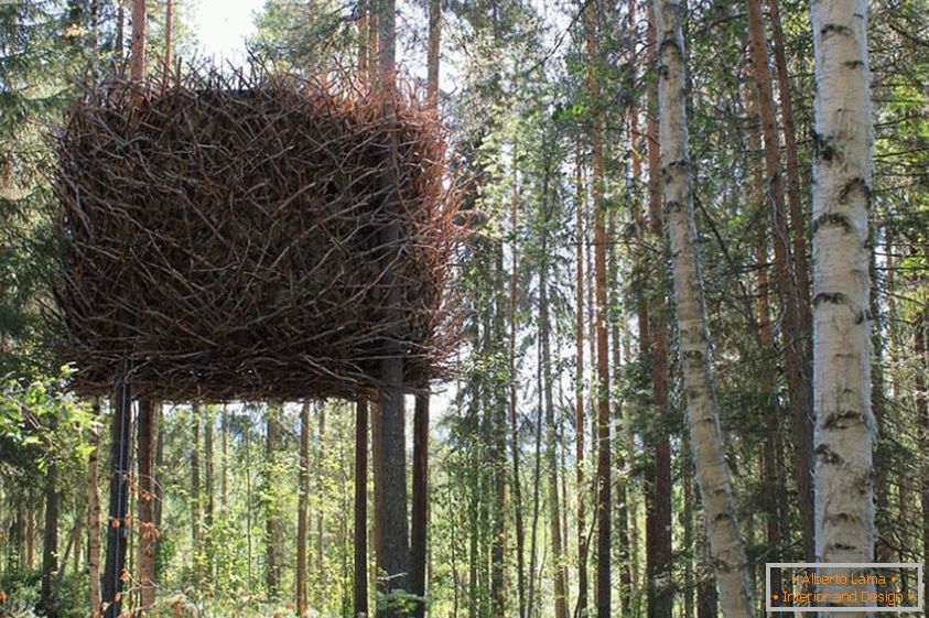 Bird's Nest Tree House (Švédsko)