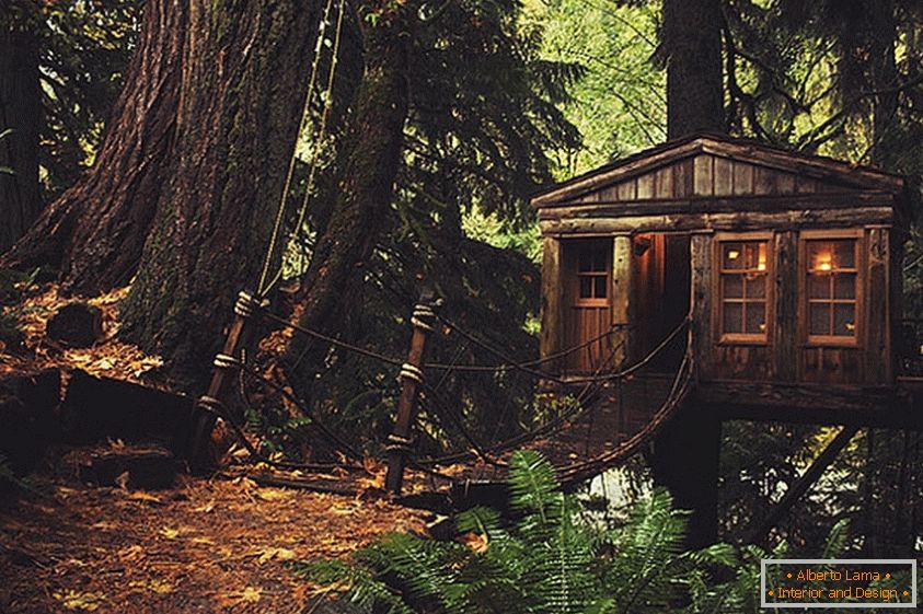 Treehouse v Seattlu (Seattle, USA)