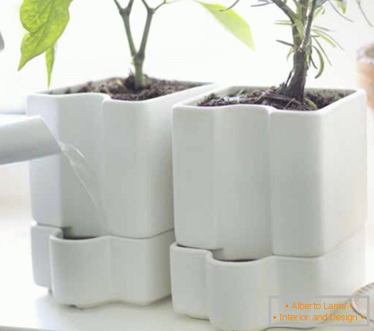 hrnce pro rostliny z glazované keramiky SOTCITRON