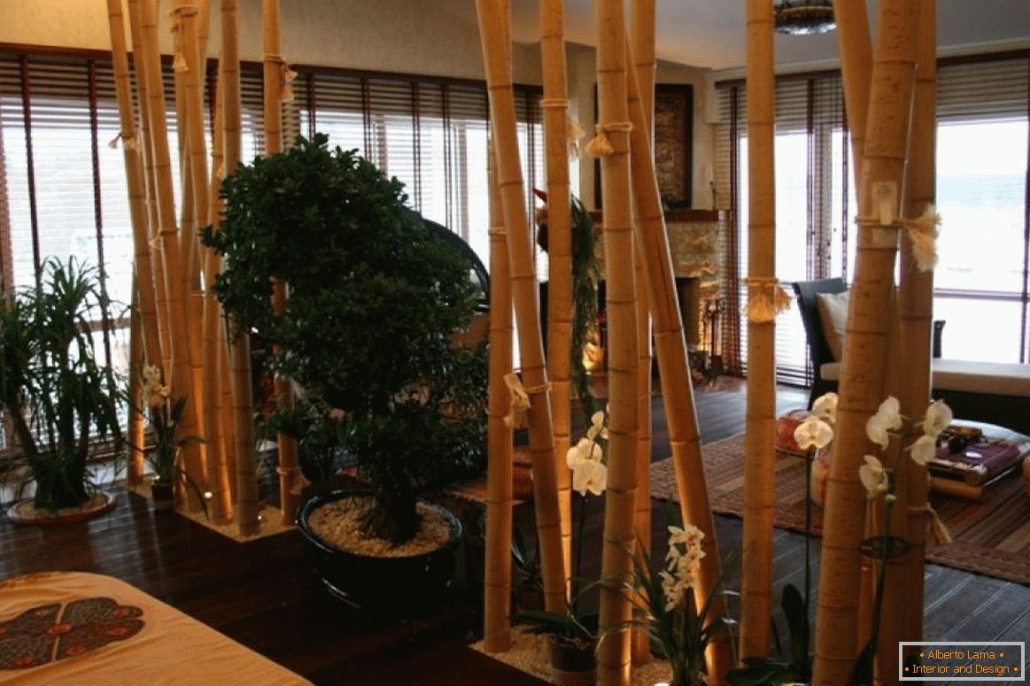 Bambusový oddíl
