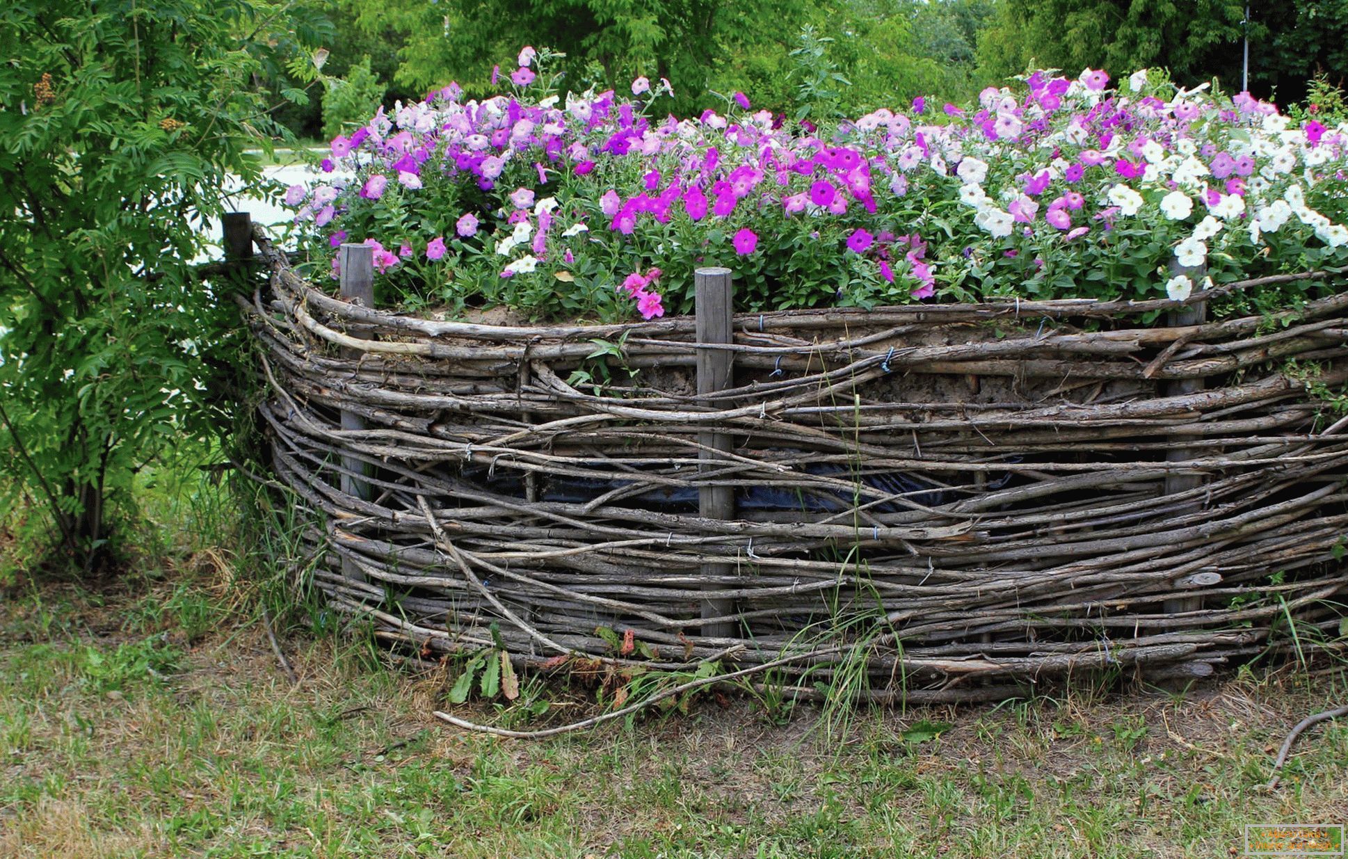 Proutěný plot pro květinovou záhonu