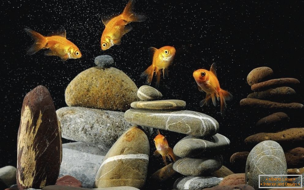 Dekorace akvária kameny