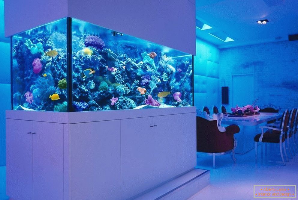 Mořské akvárium pomocí živých korálů 