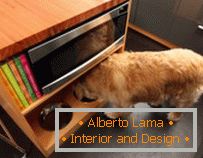 Design pro domácí mazlíčky: vydejte místo pro jídlo psa
