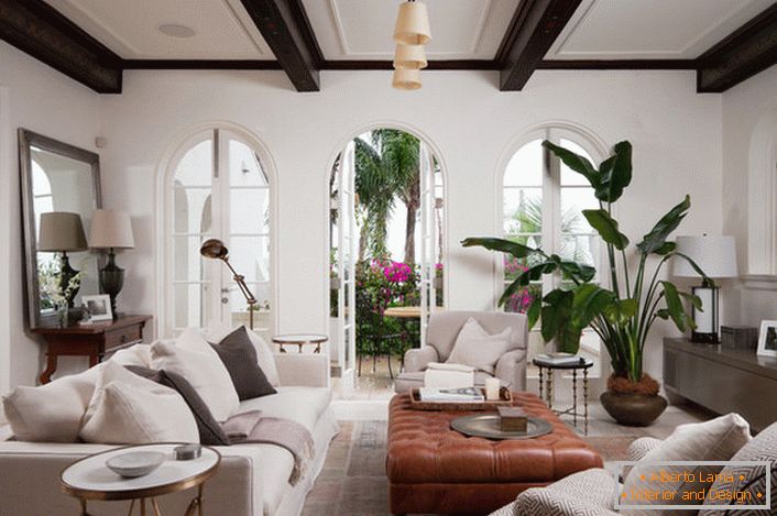 Комната для гостей оформлена в средиземноморском стиле. Elegantní interiérová výzdoba je velká, rozlehlá zelená rostlina zasazená do keramického hrnečku.