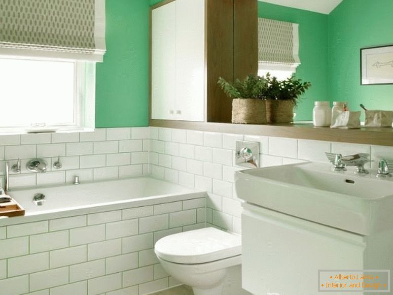 Bílo-zelená kombinovaná koupelna
