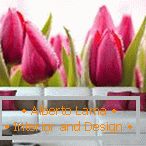 Tulipánové tulipány