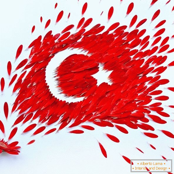 Vlajka Turecka z lístků květin