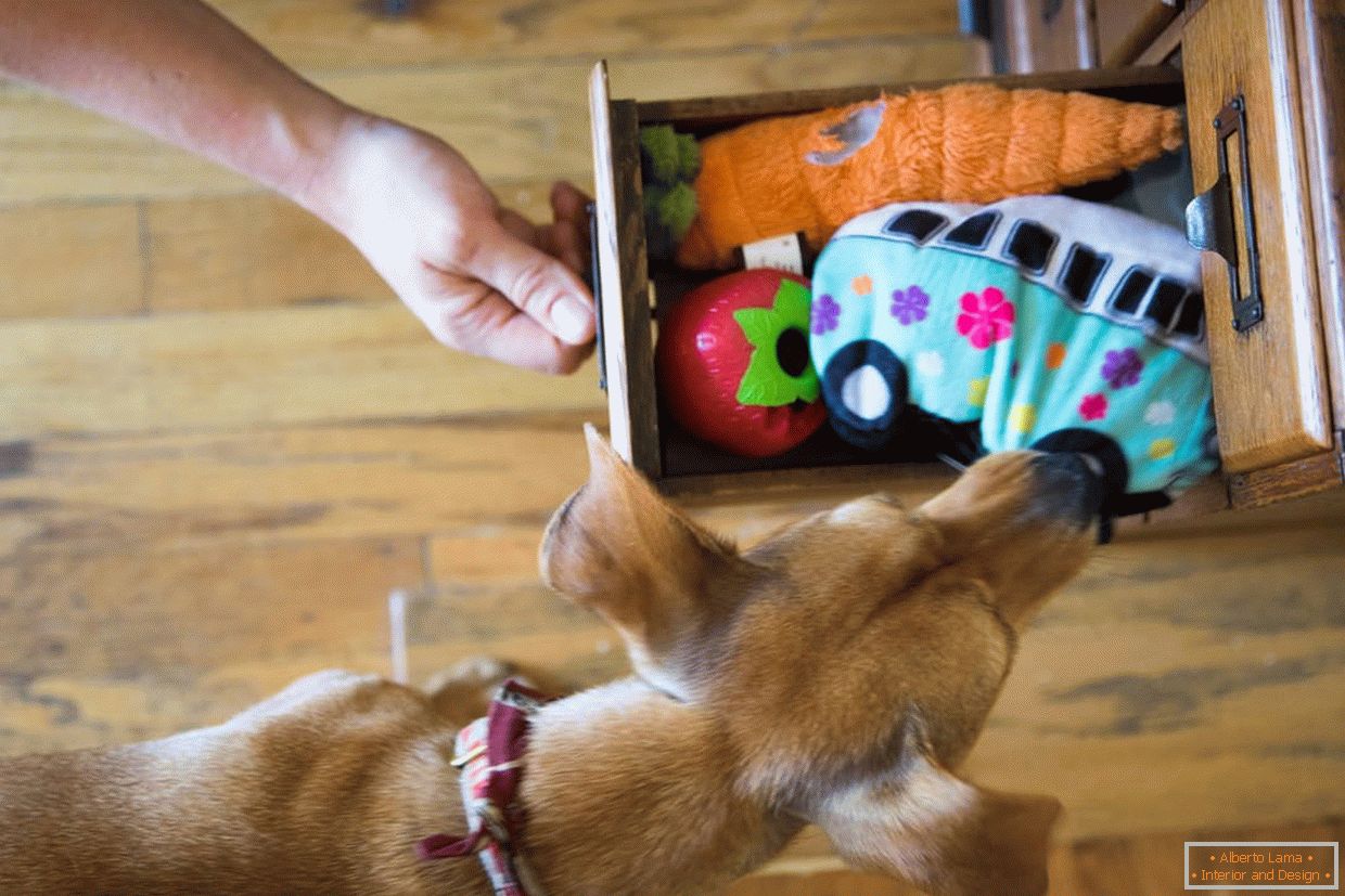 Box s hračkami pro psy